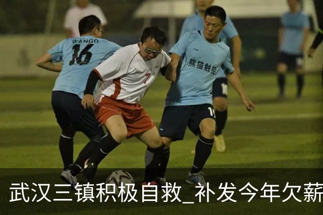 武汉三镇积极自救 补发今年欠薪 准入大概率会解决